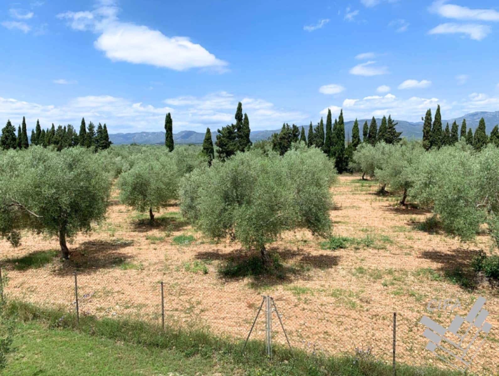 2 bedroom Finca/Country House for sale in Ulldecona - € 365,000 (Ref: 9379478)