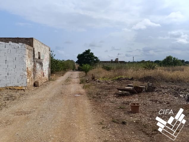 Mark till salu i Vinaròs - 265 100 € (Ref: 9379481)