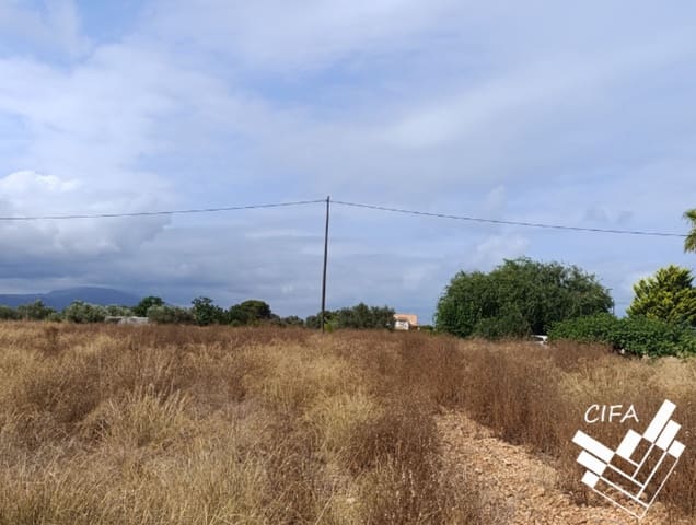 Mark till salu i Vinaròs - 265 100 € (Ref: 9379481)