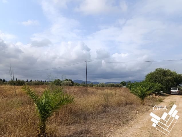 Mark till salu i Vinaròs - 265 100 € (Ref: 9379481)