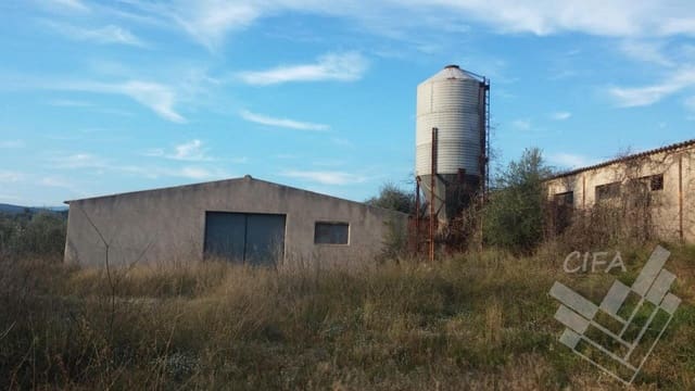 Mark till salu i Sant Mateu - 150 000 € (Ref: 9379504)