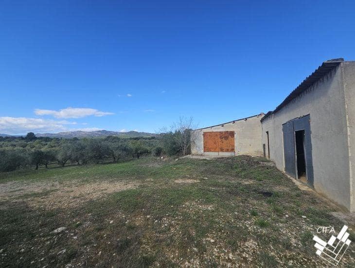 Ubebygd land til salgs i Sant Mateu - € 150 000 (Ref: 9379504)