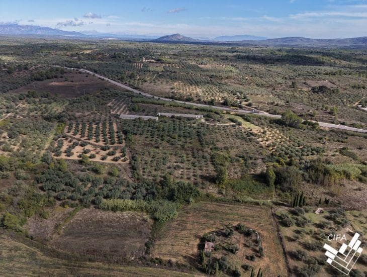 Ubebygd land til salgs i Sant Mateu - € 150 000 (Ref: 9379504)