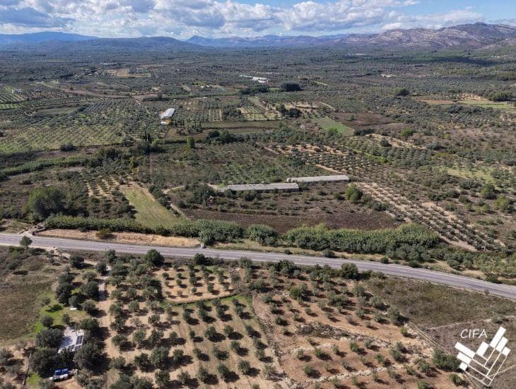 Ubebygd land til salgs i Sant Mateu - € 150 000 (Ref: 9379504)