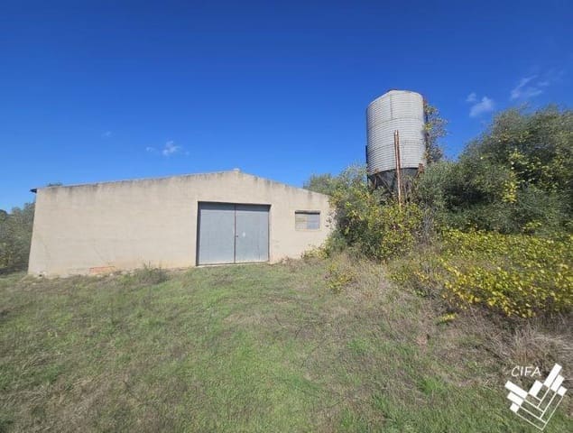 Teren niezagospodarowany na sprzedaż w Sant Mateu - 150 000 € (Ref: 9379504)
