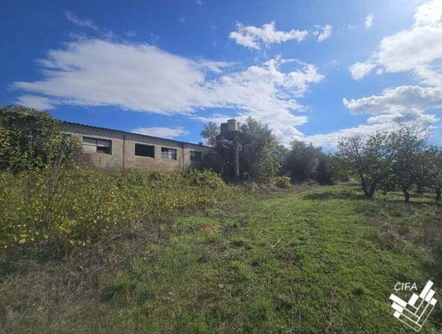 Teren niezagospodarowany na sprzedaż w Sant Mateu - 150 000 € (Ref: 9379504)