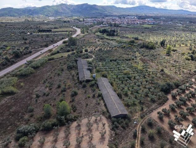 Teren niezagospodarowany na sprzedaż w Sant Mateu - 150 000 € (Ref: 9379504)