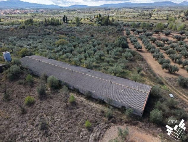 Teren niezagospodarowany na sprzedaż w Sant Mateu - 150 000 € (Ref: 9379504)