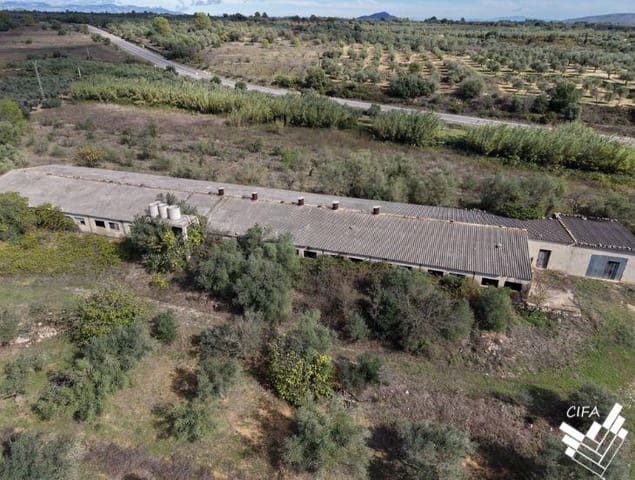 Teren niezagospodarowany na sprzedaż w Sant Mateu - 150 000 € (Ref: 9379504)