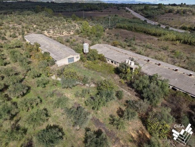 Teren niezagospodarowany na sprzedaż w Sant Mateu - 150 000 € (Ref: 9379504)