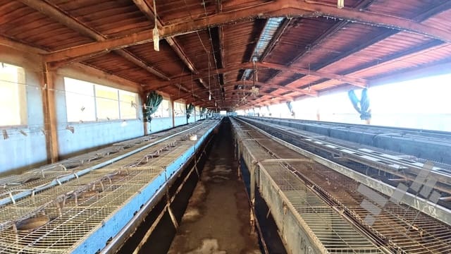 Business for sale in Rossell - € 170,000 (Ref: 9382903)