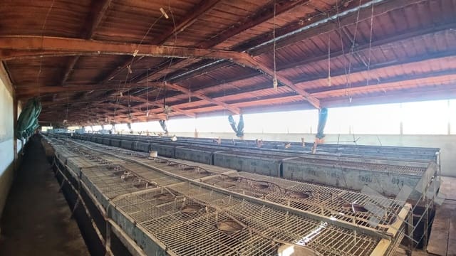 Business for sale in Rossell - € 170,000 (Ref: 9382903)