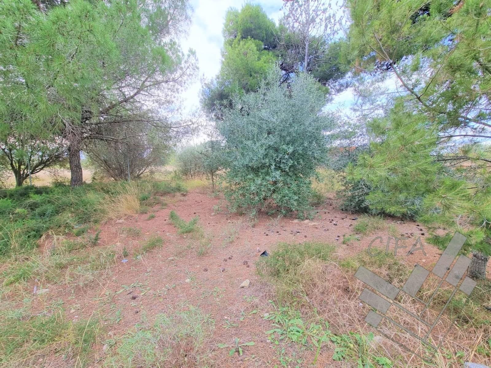 Grond te koop in Vinaros - € 764.000 (Ref: 9382910)