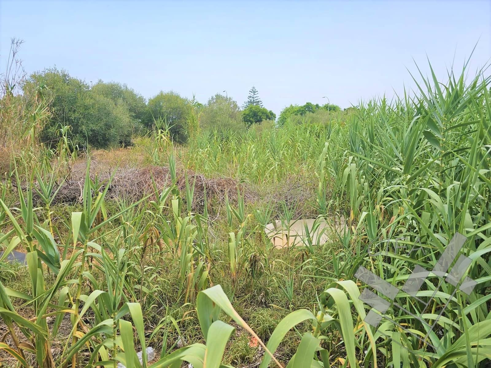 Grond te koop in Vinaros - € 764.000 (Ref: 9382910)