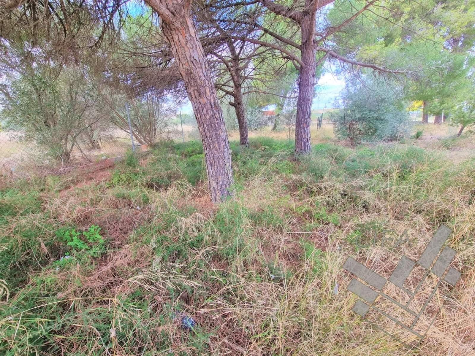 Grond te koop in Vinaros - € 764.000 (Ref: 9382910)