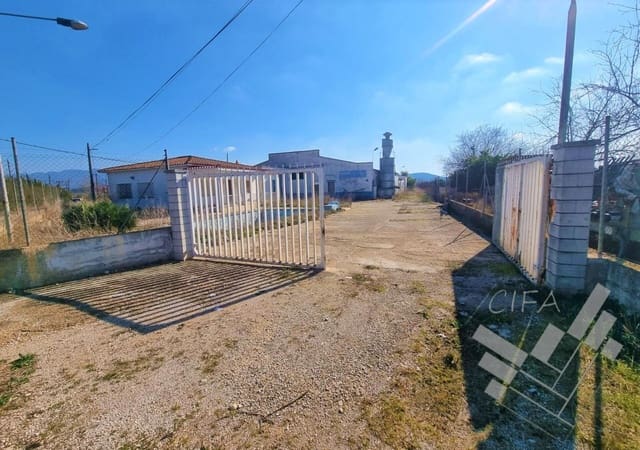 Business for sale in Ulldecona - € 110,000 (Ref: 9382939)