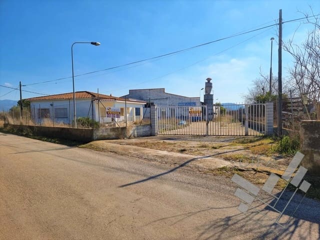 Business for sale in Ulldecona - € 110,000 (Ref: 9382939)