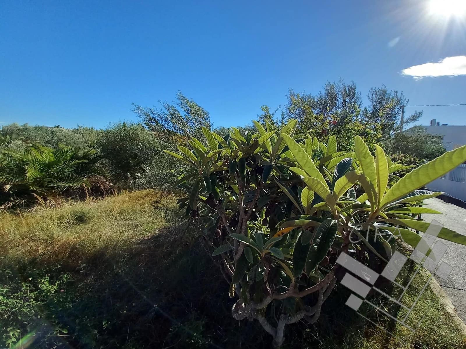 Mark till salu i Vinaros - 189 000 € (Ref: 9382954)