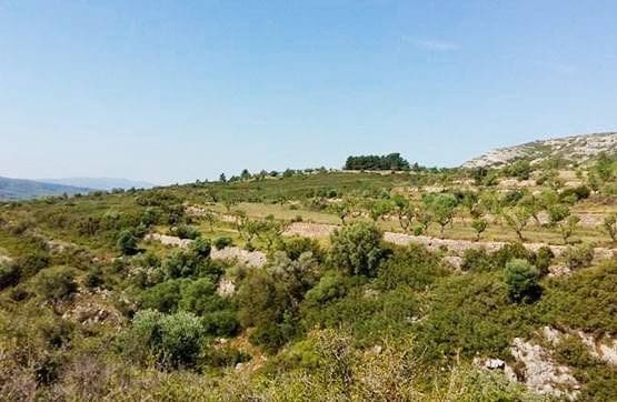 Ubebygd land til salgs i Sant Mateu - € 79 290 (Ref: 9382961)