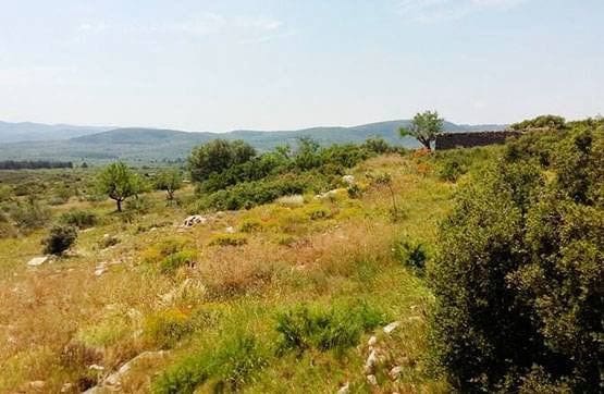 Ubebygd land til salgs i Sant Mateu - € 79 290 (Ref: 9382961)