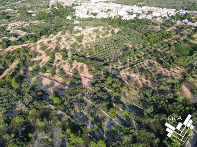 Grond te koop in Sant Jordi - € 100.000 (Ref: 9382963)