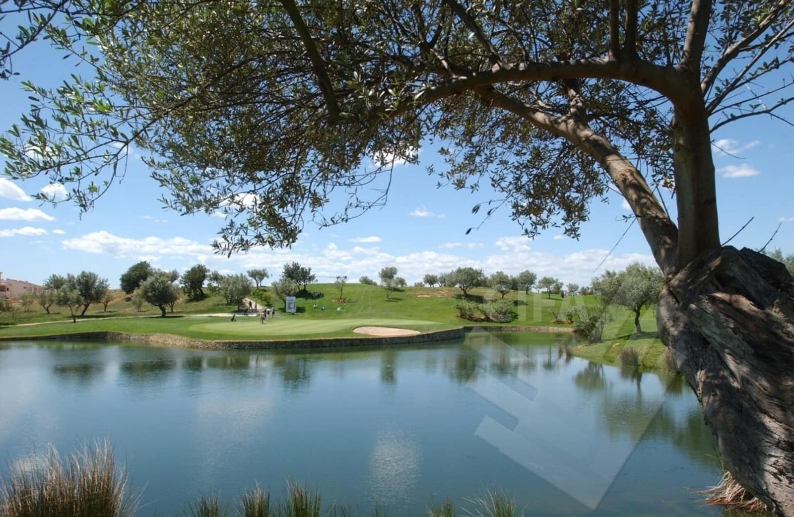 2 bedroom Apartment for rent in Sant Jordi with pool garage - € 600 (Ref: 9829194)