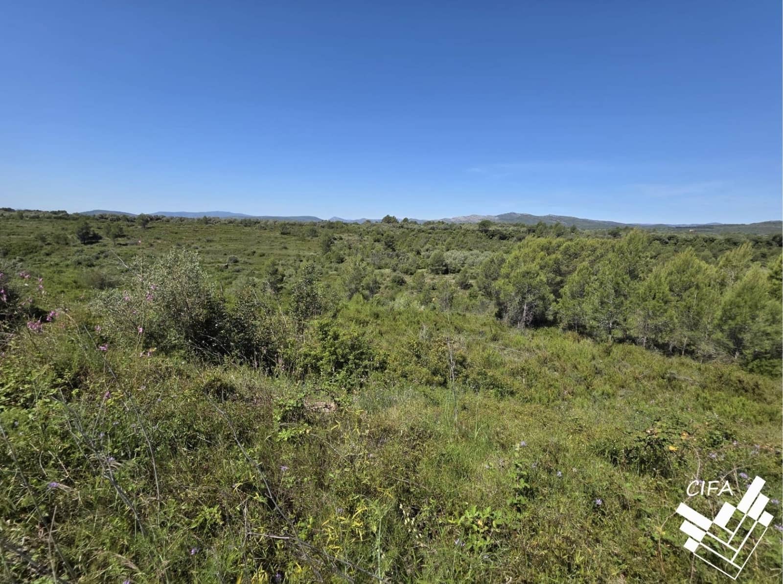 Undeveloped Land for sale in Sant Mateu - € 7,500 (Ref: 9860129)