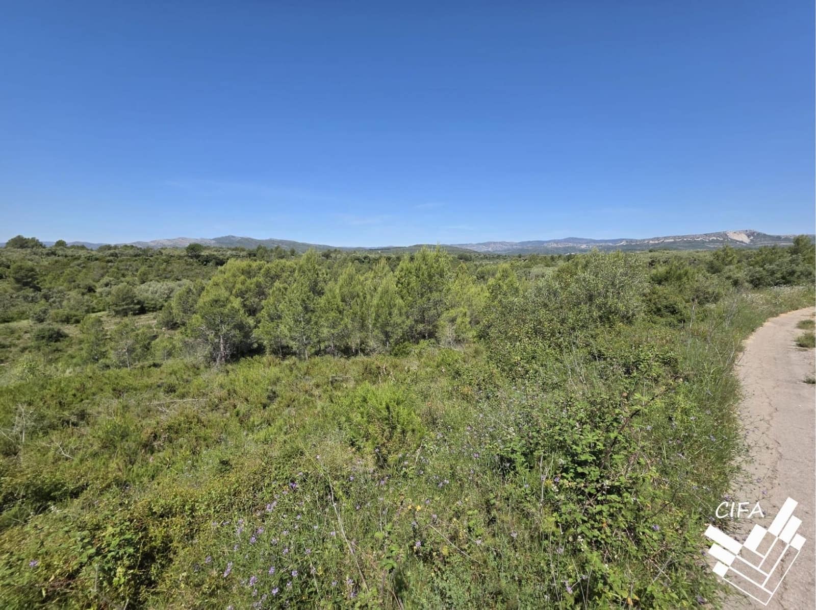 Undeveloped Land for sale in Sant Mateu - € 7,500 (Ref: 9860129)