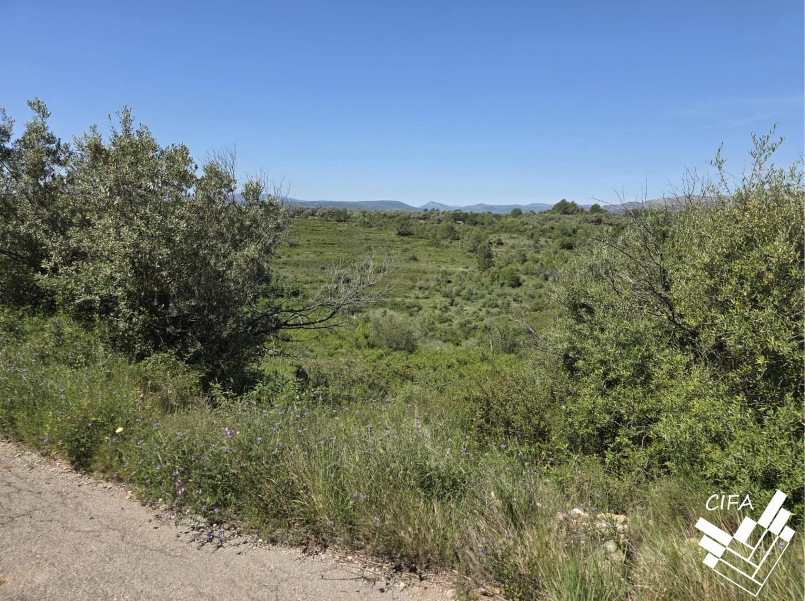 Undeveloped Land for sale in Sant Mateu - € 7,500 (Ref: 9860129)