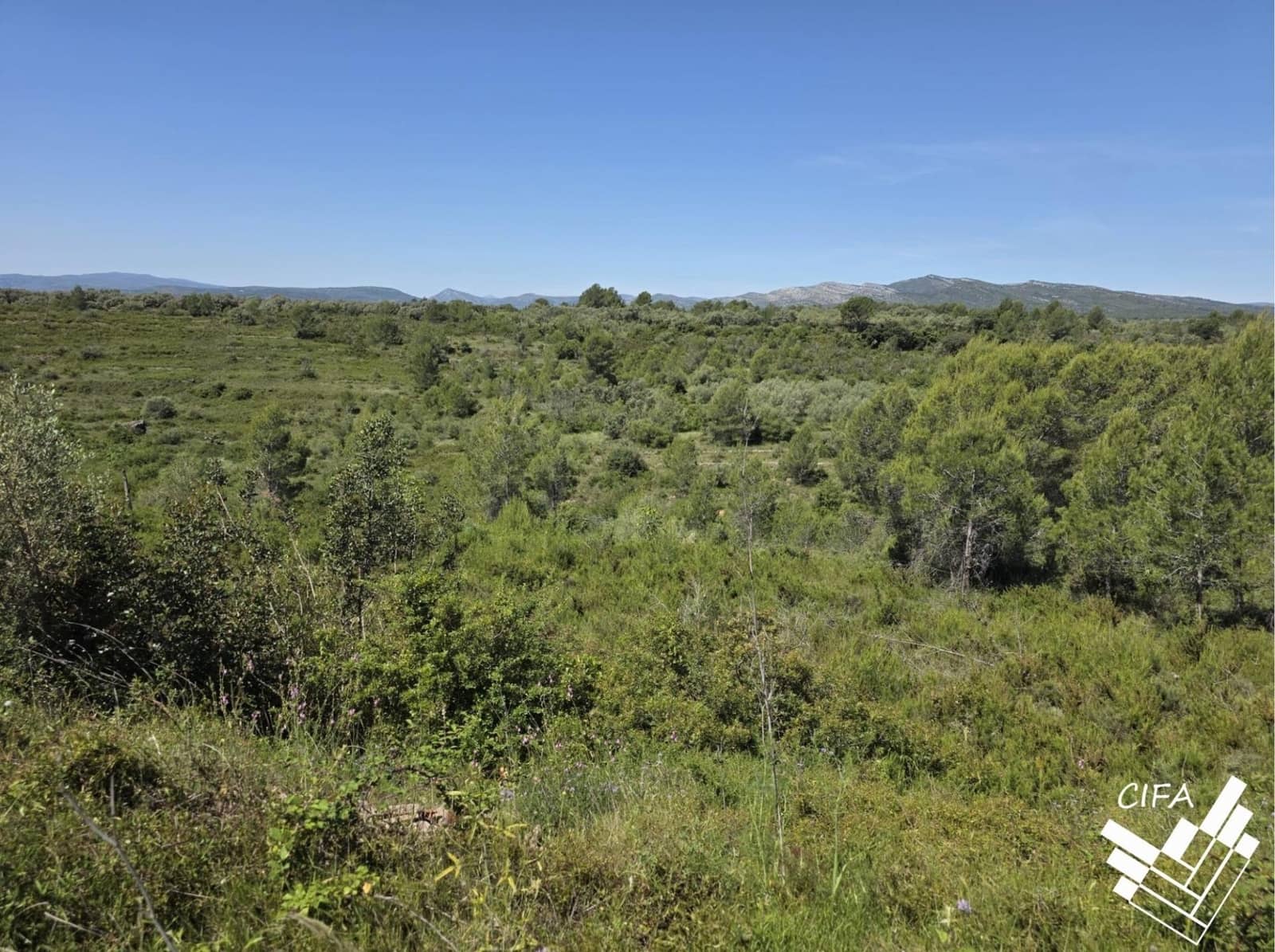 Undeveloped Land for sale in Sant Mateu - € 7,500 (Ref: 9860129)