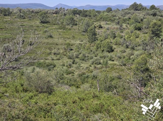 Grunde uden byggetilladelser til salg i Sant Mateu - € 7.500 (Ref: 9860129)