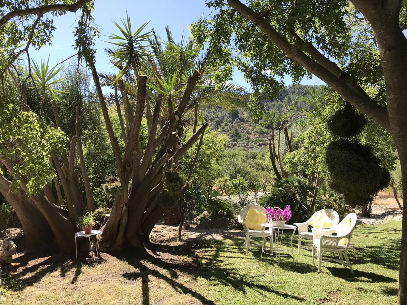 5 sovrum Finca/Hus på landet att hyra i Alaro med pool garage - 15 000 € (Ref: 5358443)