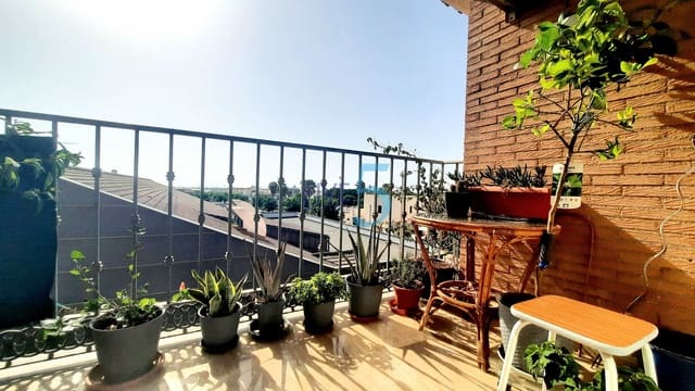 3 soveværelse Lejlighed til salg i Pilar de la Horadada med garage - € 175.000 (Ref: 10009892)