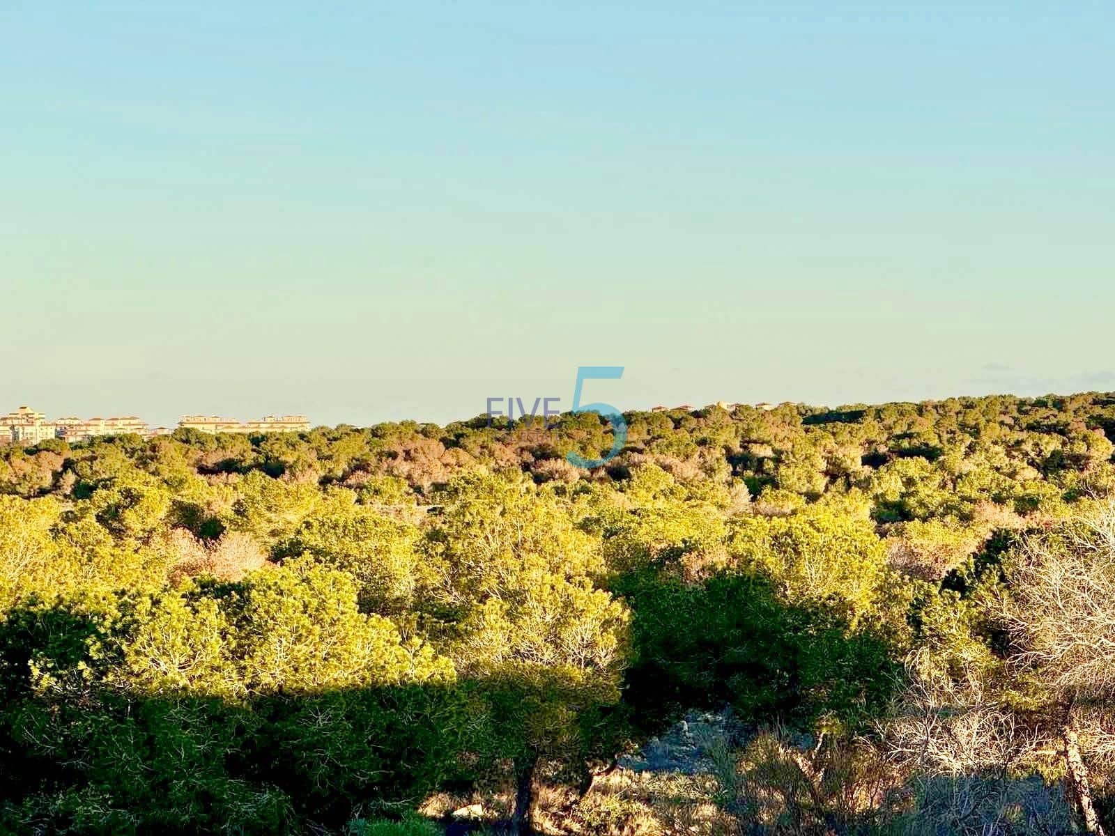3 makuuhuone Omakotitalo myytävänä paikassa Torrevieja - 189 000 € (Ref: 10165602)