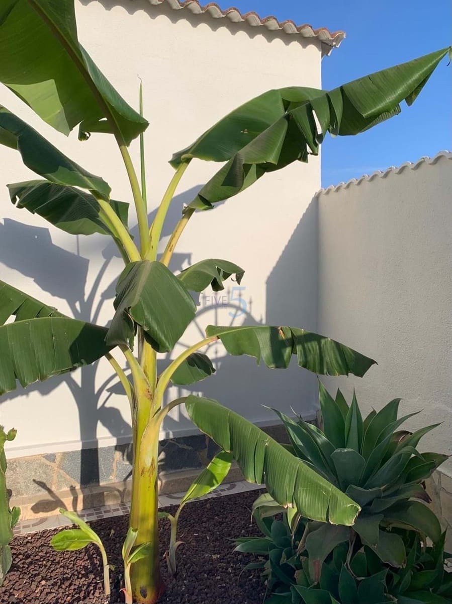 Chalet de 4 habitaciones en Ciudad Quesada en venta con piscina garaje - 575.000 € (Ref: 9150980)