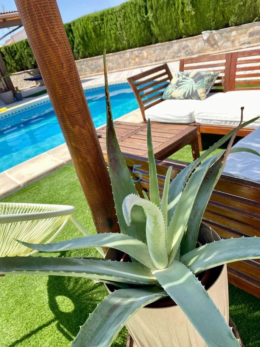 Chalet de 4 habitaciones en Ciudad Quesada en venta con piscina garaje - 575.000 € (Ref: 9150980)