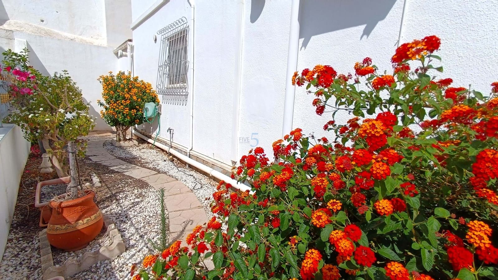 3 chambre Villa/Maison à vendre à San Miguel de Salinas - 198 500 € (Ref: 9177494)