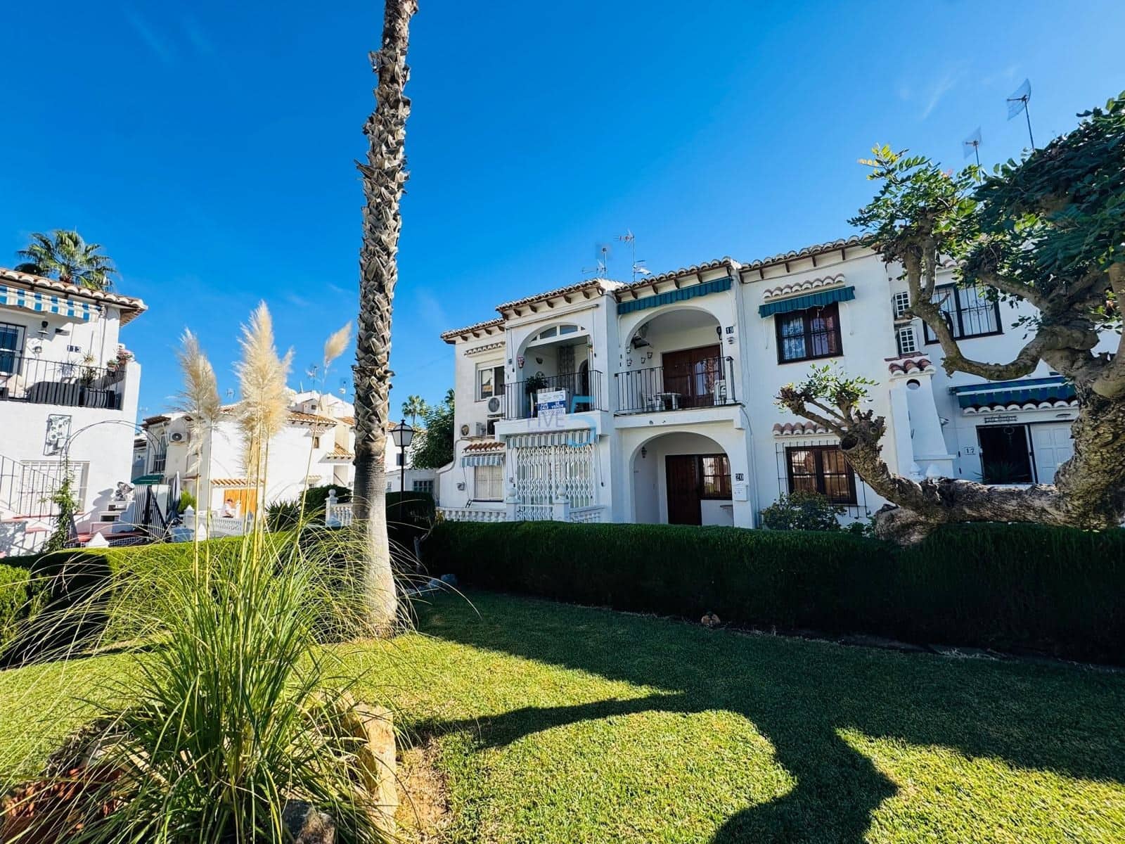 Apartamento de 1 habitación en Los Balcones en venta con piscina - 114.000 € (Ref: 9362922)