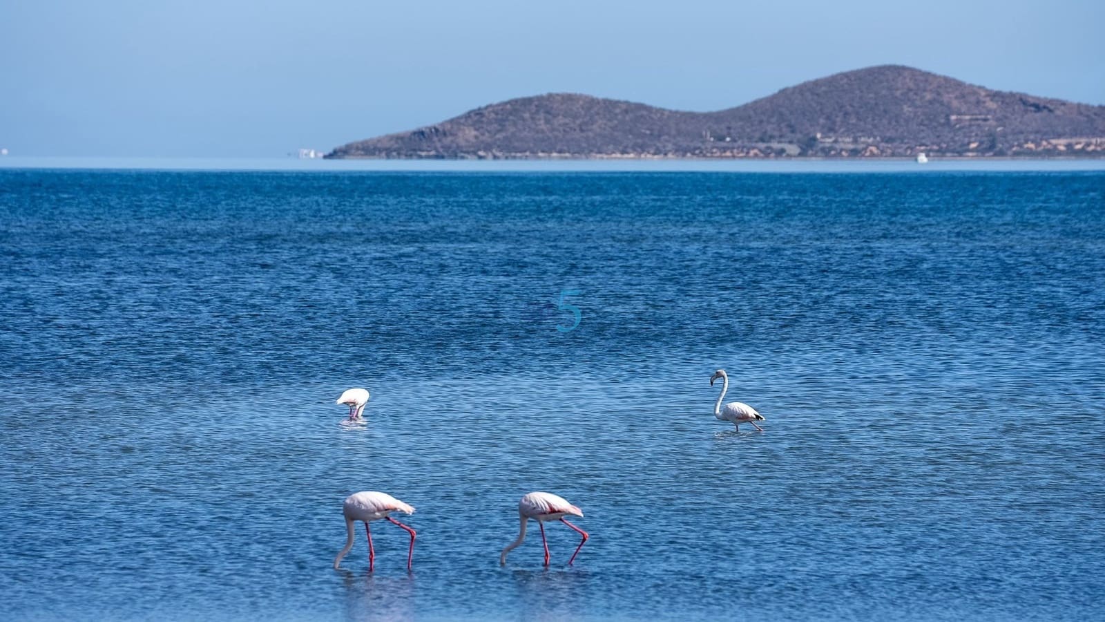 2 sovrum Bungalow till salu i Los Urrutias med pool garage - 155 000 € (Ref: 9382208)