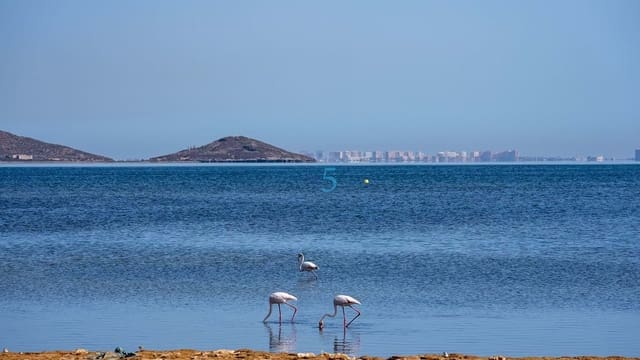 2 soveværelse Byhus til salg i Los Urrutias, Cartagena med swimmingpool - € 158.000 (Ref: 9464931)