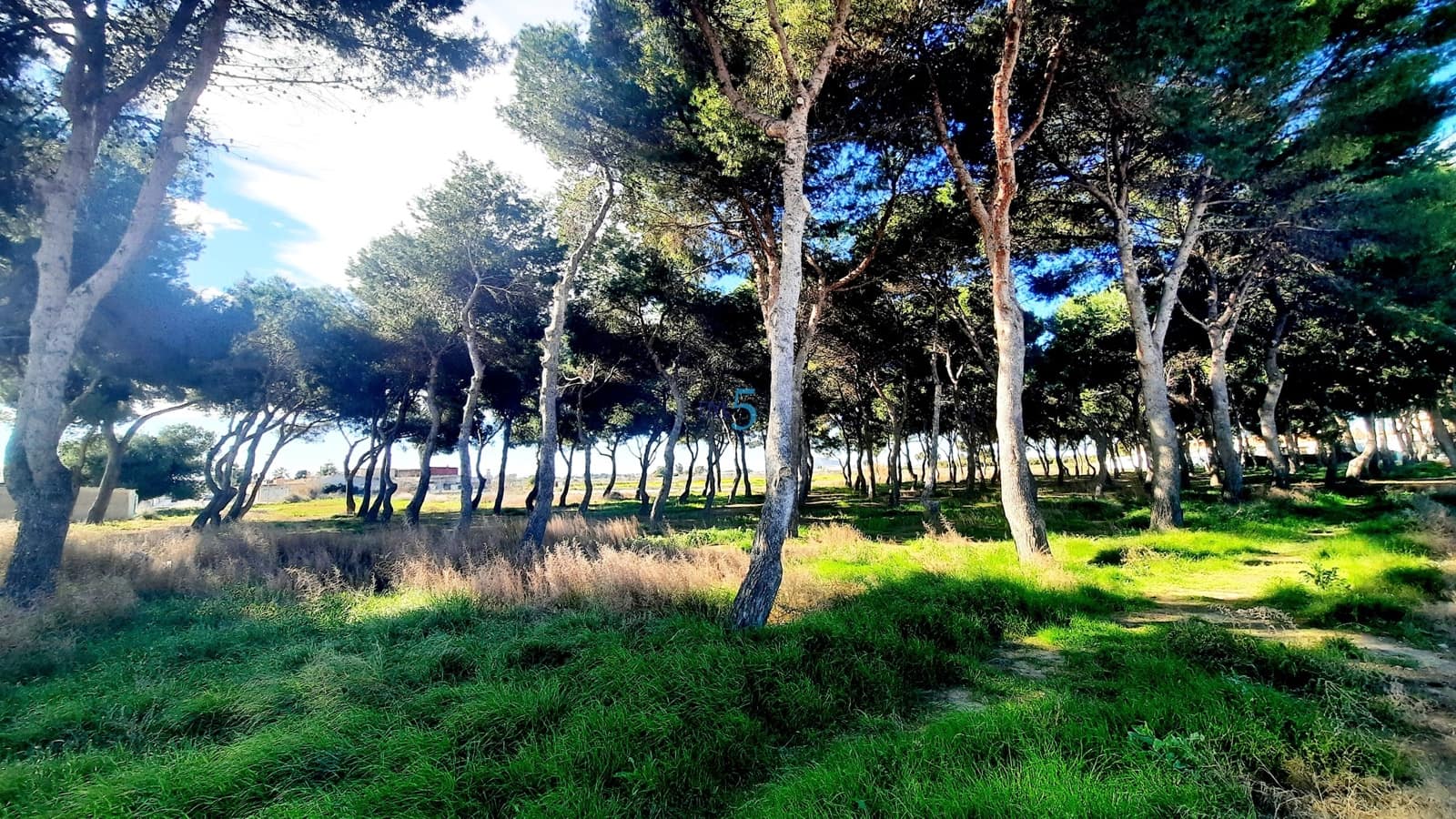 2 quarto Bungalow para venda em Santiago de la Ribera com piscina - 165 000 € (Ref: 9529188)