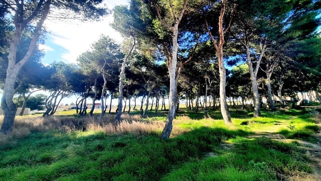 2 quarto Bungalow para venda em Santiago de la Ribera, San Javier com piscina - 165 000 € (Ref: 9529188)