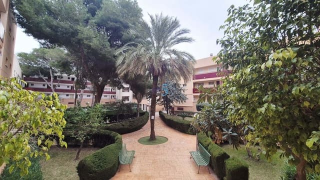 Apartamento de 1 habitación en Mil Palmeras, Pilar de la Horadada en venta con piscina garaje - 125.000 € (Ref: 9534840)