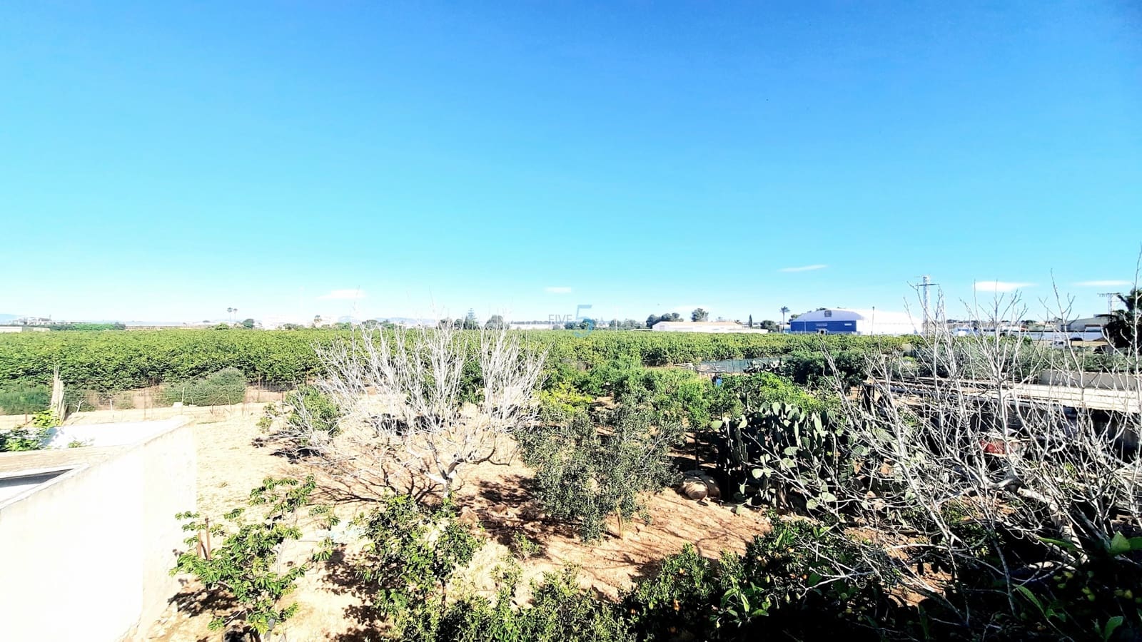 3 soverom Bungalow til salgs i San Pedro del Pinatar - € 325 000 (Ref: 9772558)