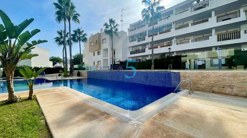2 Zimmer Apartment zu verkaufen in Villamartin mit Pool Garage - 229.000 € (Ref: 9779104)