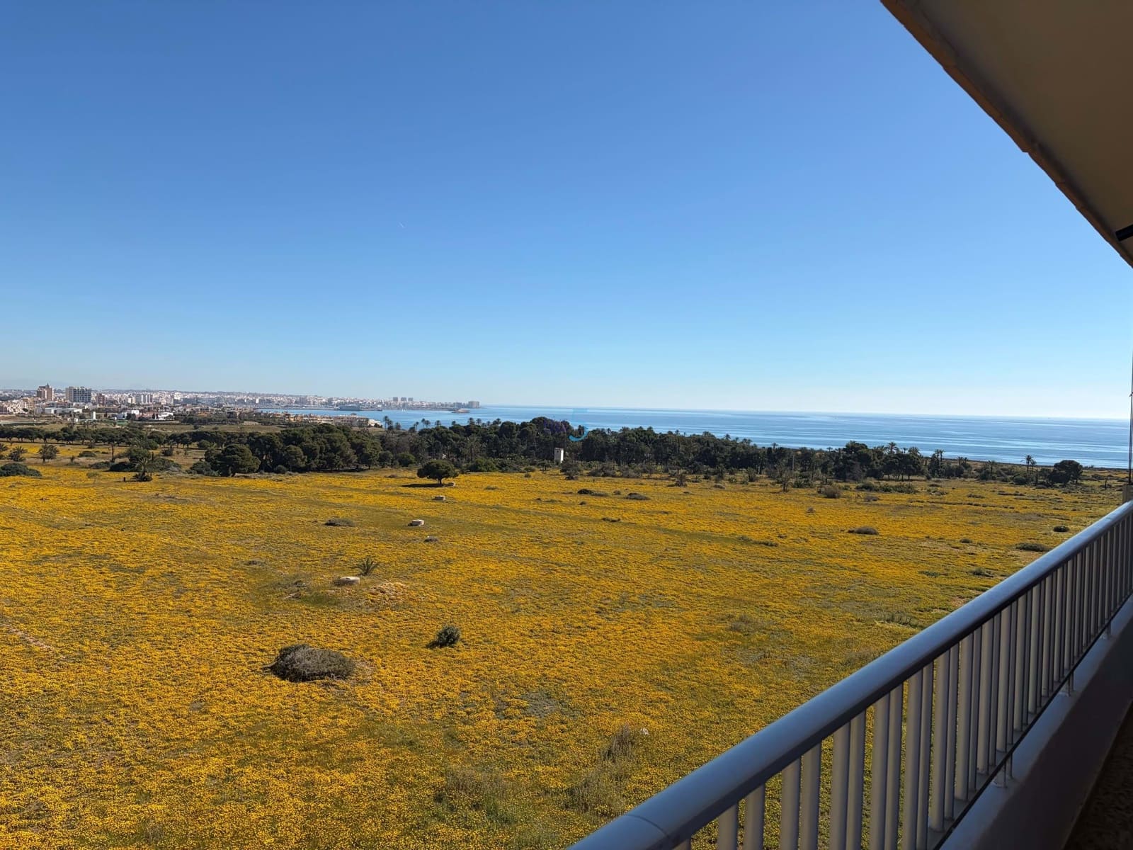 2 quarto Penthouse para venda em Alicante cidade com piscina garagem - 235 000 € (Ref: 9825825)