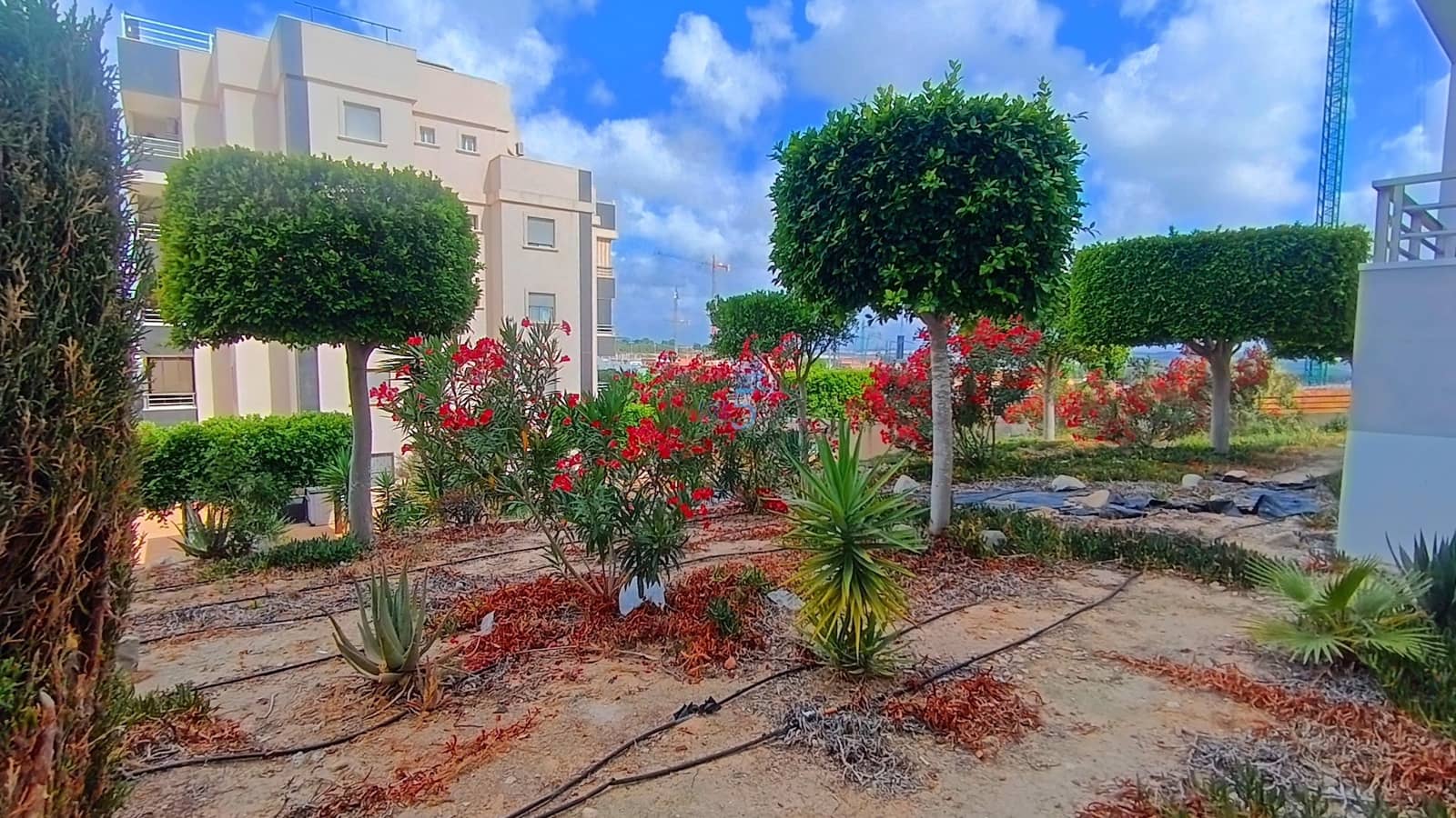 2 chambre Appartement à vendre à San Miguel de Salinas avec piscine - 120 000 € (Ref: 9893264)