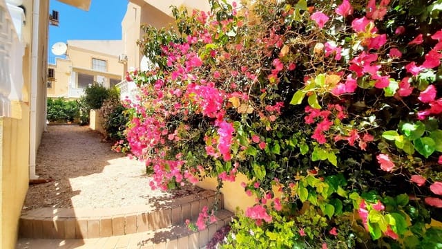 2 soveværelse Lejlighed til salg i Villamartin, Orihuela med swimmingpool - € 155.000 (Ref: 9893265)