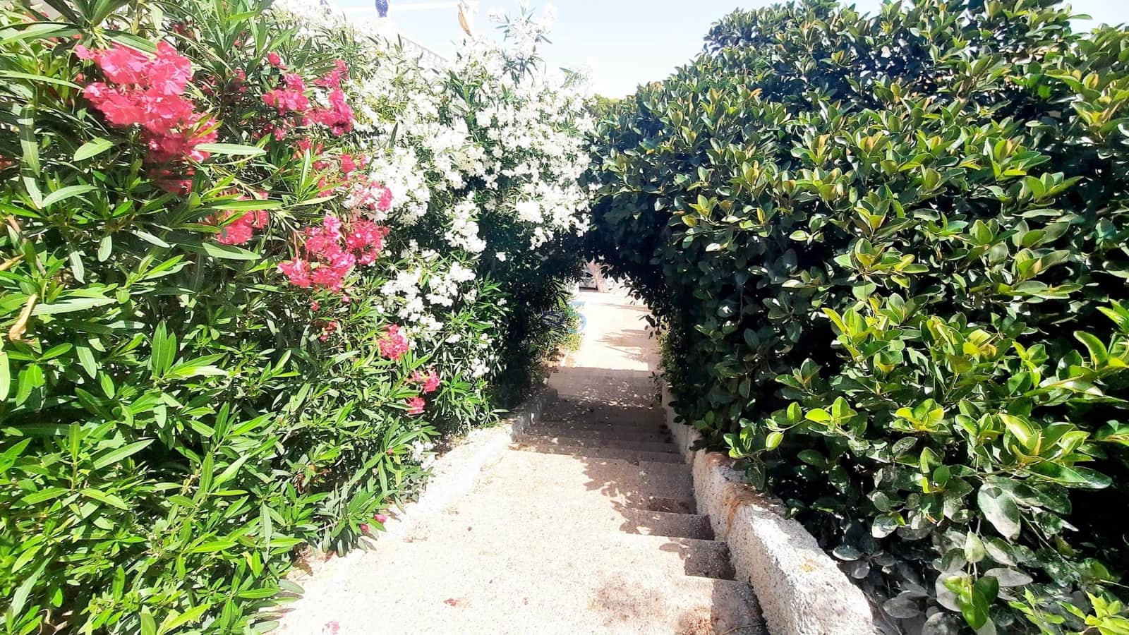 3 slaapkamer Huis te koop in La Zenia met garage - € 295.000 (Ref: 9918356)