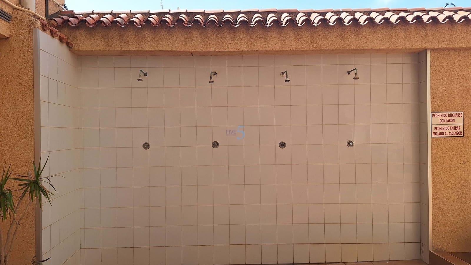 Studio à vendre à Torrevieja - 85 000 € (Ref: 9921426)